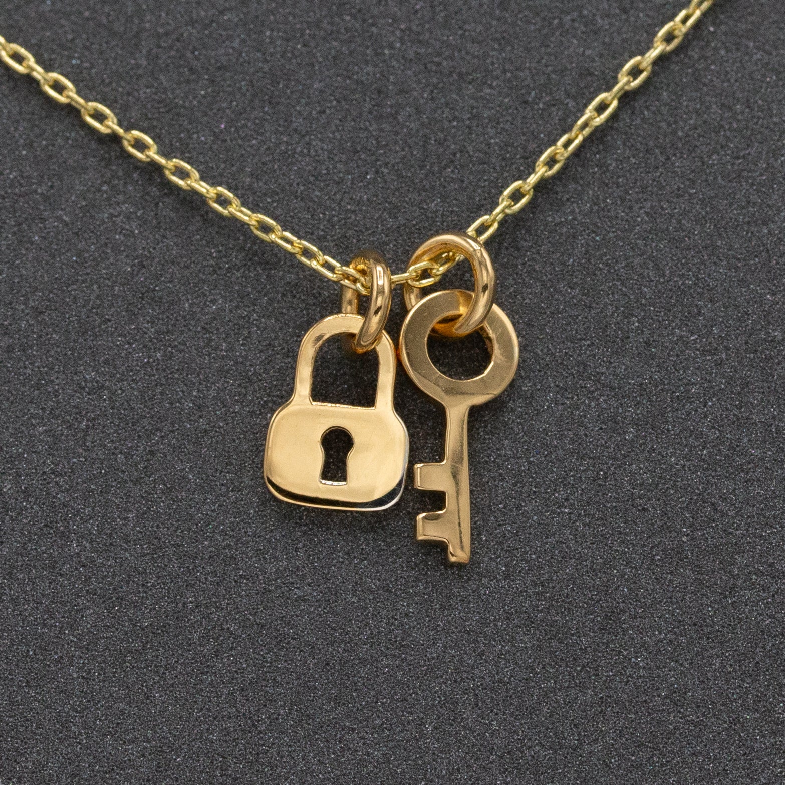 Dainty Lock and Key Necklace Silhouette – Plus1JewelsNYC